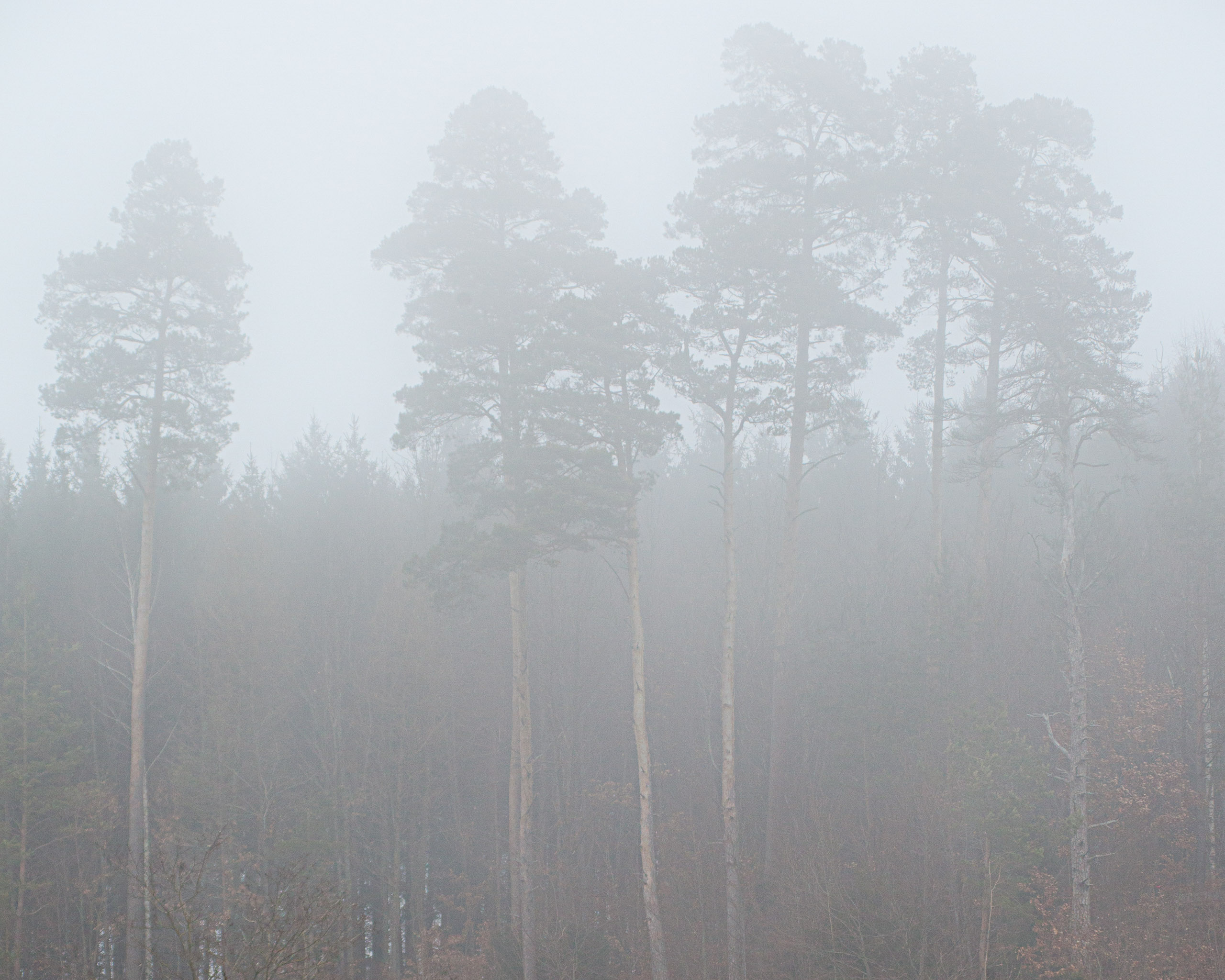 20120225101440 IMG 3556